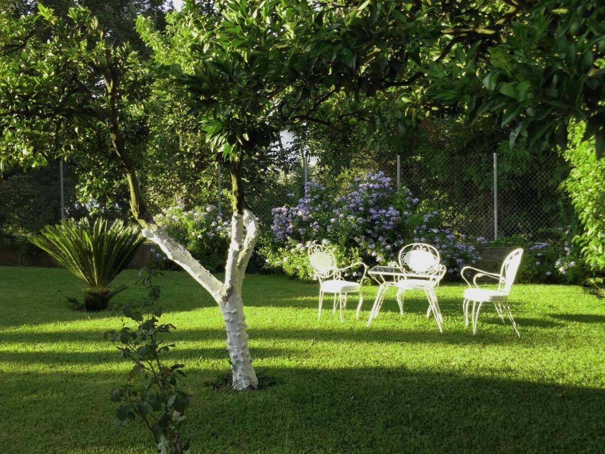Casa Malu Boutique Studio No 4 Gouvia Buitenkant foto